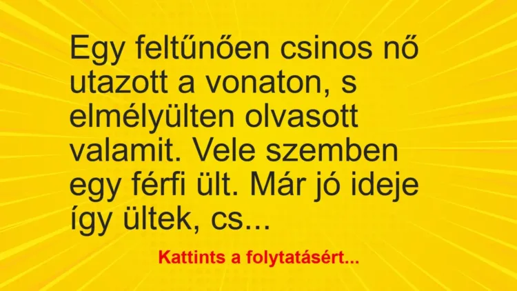 Vicc: Egy feltűnően csinos nő utazott a vonaton, s elmélyülten olvasott valamit. Vele… Vicc: Egy feltűnően csinos nő utazott a vonaton, s elmélyülten olvasott valamit. Vele…