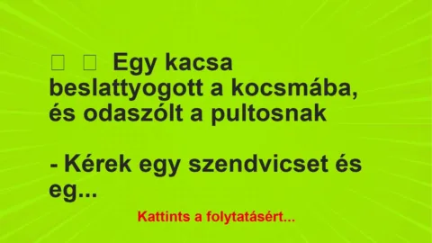 Vicc: 
	    	    Egy kacsa beslattyogott a kocsmába, és odaszólt a pultosnak


– …