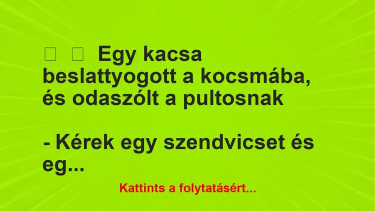 Vicc:
Egy kacsa beslattyogott a kocsmába, és odaszólt a pultosnak
– … Vicc:
Egy kacsa beslattyogott a kocsmába, és odaszólt a pultosnak
– …
