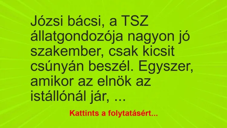 Vicc: Józsi bácsi, a TSZ állatgondozója nagyon jó szakember, csak kicsit csúnyán… Vicc: Józsi bácsi, a TSZ állatgondozója nagyon jó szakember, csak kicsit csúnyán…