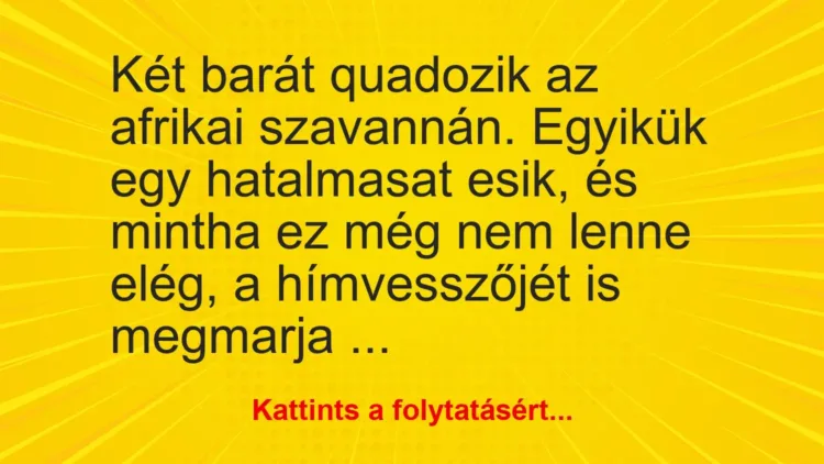 Vicc: Két barát quadozik az afrikai szavannán. Egyikük egy hatalmasat esik, és mintha… Vicc: Két barát quadozik az afrikai szavannán. Egyikük egy hatalmasat esik, és mintha…