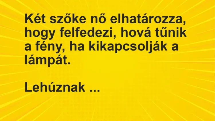 Vicc: Két szőke nő elhatározza, hogy felfedezi, hová tűnik a fény, ha kikapcsolják a… Vicc: Két szőke nő elhatározza, hogy felfedezi, hová tűnik a fény, ha kikapcsolják a…