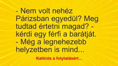 Vicc: – Nem volt nehéz Párizsban egyedül? Meg tudtad értetni magad? – kérdi egy férfi…