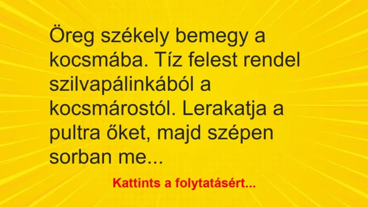 Vicc: Öreg székely bemegy a kocsmába. Tíz felest rendel szilvapálinkából a… Vicc: Öreg székely bemegy a kocsmába. Tíz felest rendel szilvapálinkából a…