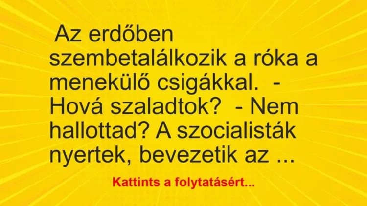 Vicc:
Végetértek a választások
… Vicc:
Végetértek a választások
…