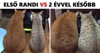 17 vidám kép, amely a párkapcsolatok valóságát komikusan festi fel