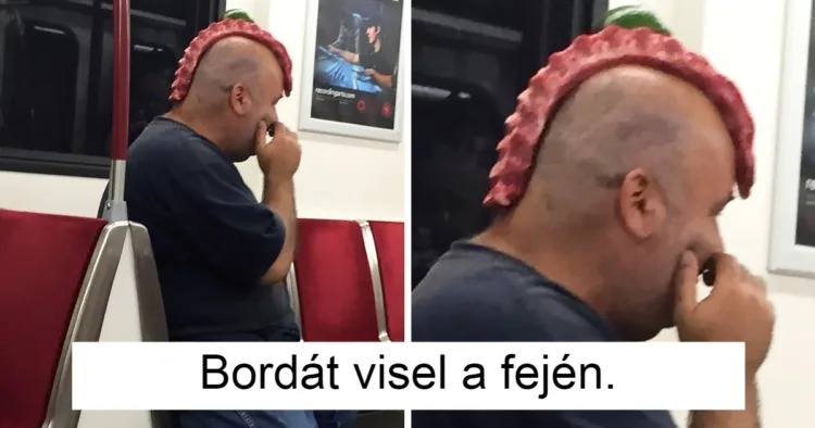 18 lenyűgöző megjelenés, ami miatt úgy éreztük, mintha egy szürreális álomban lennénk.