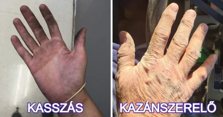 20+ ember bemutatta milyen valójában a szakmája... 20+ ember bemutatta milyen valójában a szakmája…