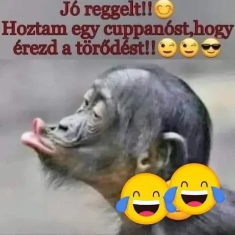 Jó reggelt, cuppanós törődéssel...