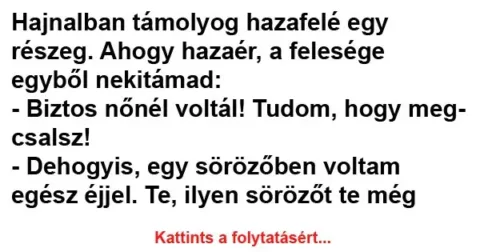 Vicc: Hajnalban támolyog hazafelé egy részeg…
