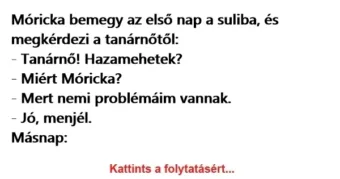 Vicc: Móricka bemegy az első nap a suliba, és megkérdezi a tanárnőtől:…