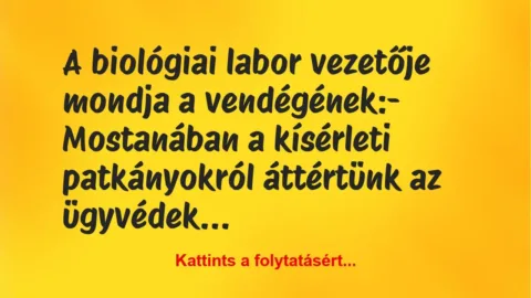 Vicc: A biológiai labor vezetője mondja a vendégének:
– Mostanában a… Vicc: A biológiai labor vezetője mondja a vendégének:
– Mostanában a…