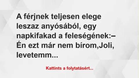 Vicc: A férjnek teljesen elege lesz az anyósából, egy nap kifakad a feleségének…