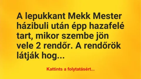 Vicc: A lepukkant Mekk Mester házibuli után épp hazafelé tart, mikor szembe jön… Vicc: A lepukkant Mekk Mester házibuli után épp hazafelé tart, mikor szembe jön…