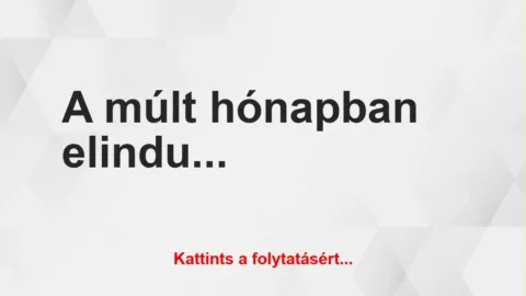 Vicc: A múlt hónapban elindultam egy futóversenyen Vicc: A múlt hónapban elindultam egy futóversenyen