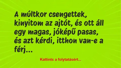 Vicc: A múltkor csengettek, kinyitom az ajtót, és ott áll egy magas, jóképű… Vicc: A múltkor csengettek, kinyitom az ajtót, és ott áll egy magas, jóképű…