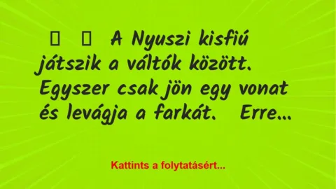 Vicc: 
	    	    A Nyuszi kisfiú játszik a váltók között.


Egyszer…