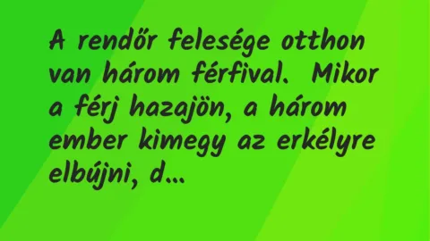 Vicc: A rendőr felesége otthon van három férfival.

Mikor a férj hazajön, a három…