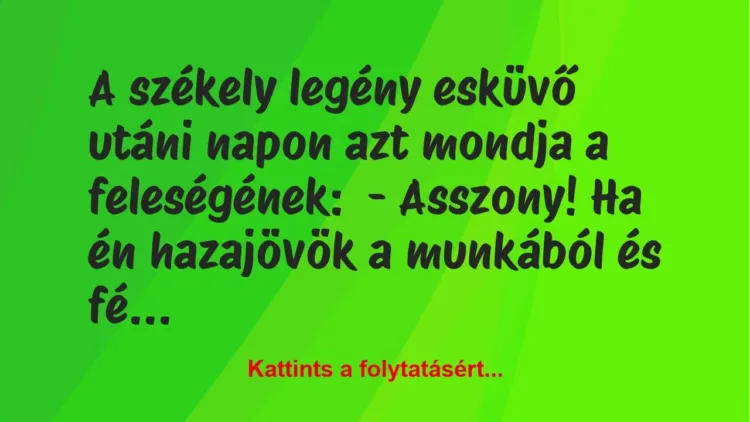 Vicc: A székely legény esküvő utáni napon azt mondja a feleségének:
– A… Vicc: A székely legény esküvő utáni napon azt mondja a feleségének:
– A…