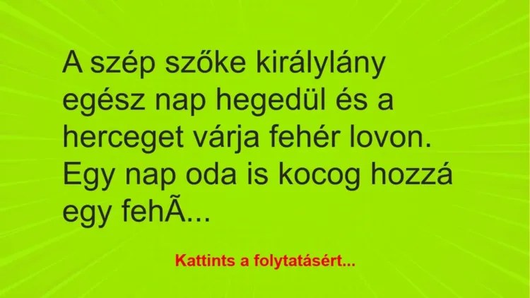 Vicc: A szép szőke királylány egész nap hegedül és a herceget várja… Vicc: A szép szőke királylány egész nap hegedül és a herceget várja…