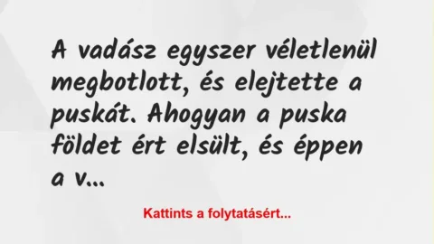 Vicc: A vadász egyszer véletlenül megbotlott, és elejtette a puskát. Ahogyan… Vicc: A vadász egyszer véletlenül megbotlott, és elejtette a puskát. Ahogyan…