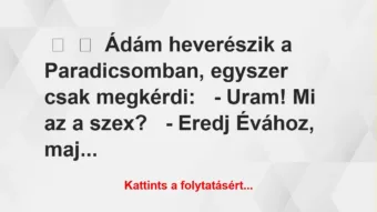 Vicc:
Ádám heverészik a Paradicsomban, egyszer csak… Vicc:
Ádám heverészik a Paradicsomban, egyszer csak…