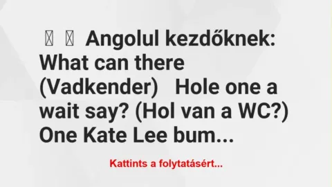 Vicc: 
	    	    Angolul kezdőknek:


What can there…