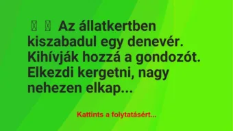 Vicc:
Az állatkertben kiszabadul egy denevér. Kihívják hozzá a… Vicc:
Az állatkertben kiszabadul egy denevér. Kihívják hozzá a…