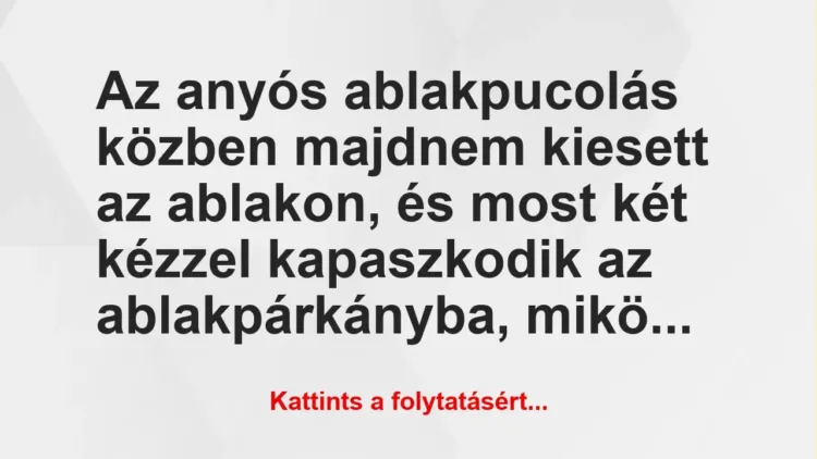 Vicc: Az anyós ablakpucolás közben majdnem kiesett az ablakon, és most két…