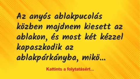 Vicc: Az anyós ablakpucolás közben majdnem kiesett az ablakon, és most két kézzel…