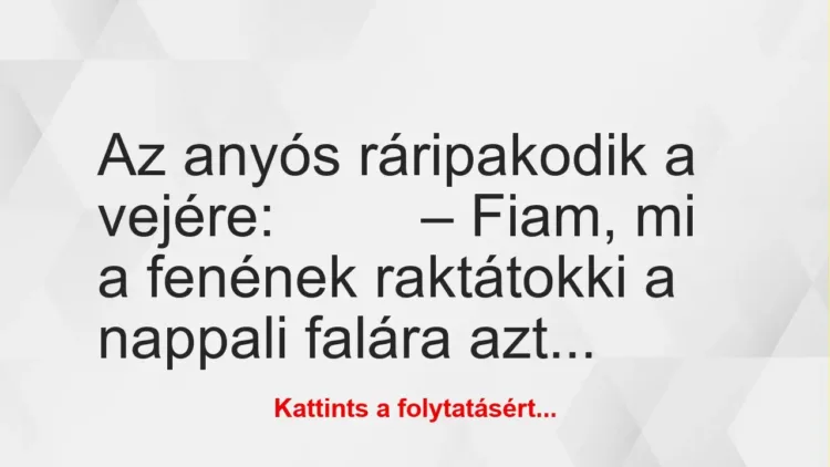 Vicc: Az anyós ráripakodik a vejére:… Vicc: Az anyós ráripakodik a vejére:…