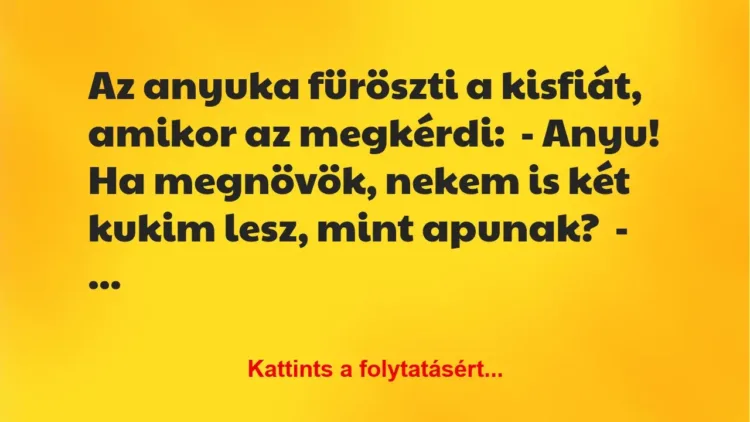 Vicc: Az anyuka füröszti a kisfiát, amikor az megkérdi:
– Anyu! Ha megnövök,… Vicc: Az anyuka füröszti a kisfiát, amikor az megkérdi:
– Anyu! Ha megnövök,…