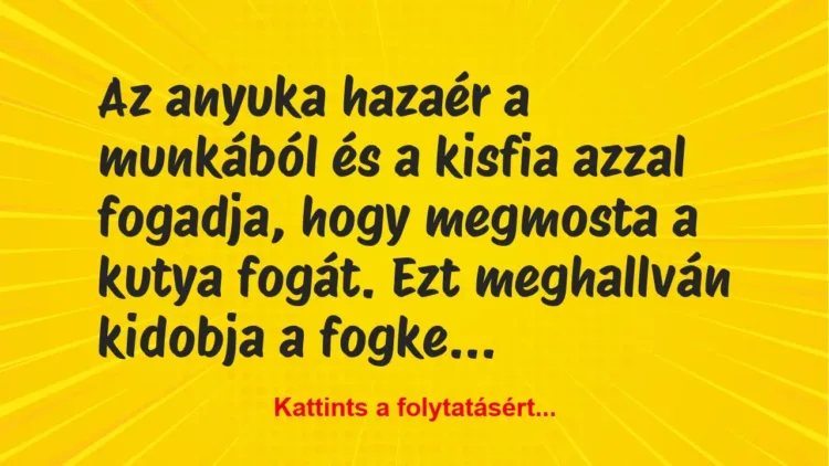 Vicc: Az anyuka hazaér a munkából és a kisfia azzal fogadja, hogy megmosta a… Vicc: Az anyuka hazaér a munkából és a kisfia azzal fogadja, hogy megmosta a…