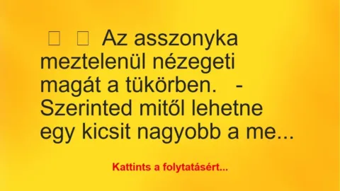 Vicc: 
	    	    Az asszonyka meztelenül nézegeti magát a tükörben.


-…