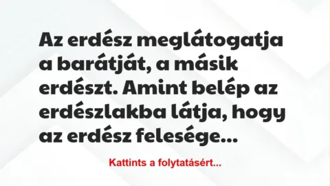 Vicc: Az erdész meglátogatja a barátját, a másik erdészt. Amint belép az…