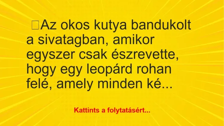 Vicc: Az okos kutya bandukolt a sivatagban… Vicc: Az okos kutya bandukolt a sivatagban…