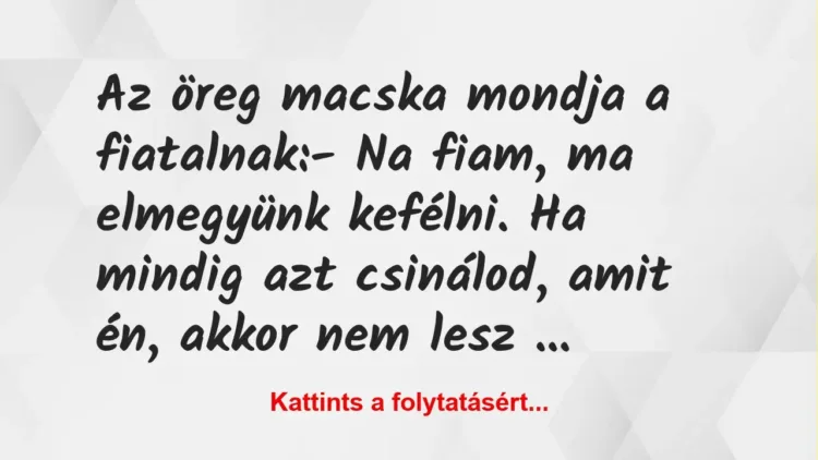 Vicc: Az öreg macska mondja a fiatalnak:
– Na fiam, ma elmegyünk kefélni. Ha… Vicc: Az öreg macska mondja a fiatalnak:
– Na fiam, ma elmegyünk kefélni. Ha…