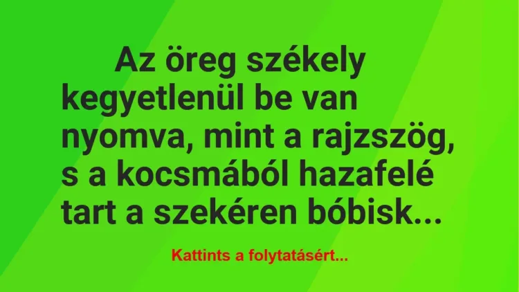 Vicc: Az öreg székely kegyetlenül be van nyomva Vicc: Az öreg székely kegyetlenül be van nyomva