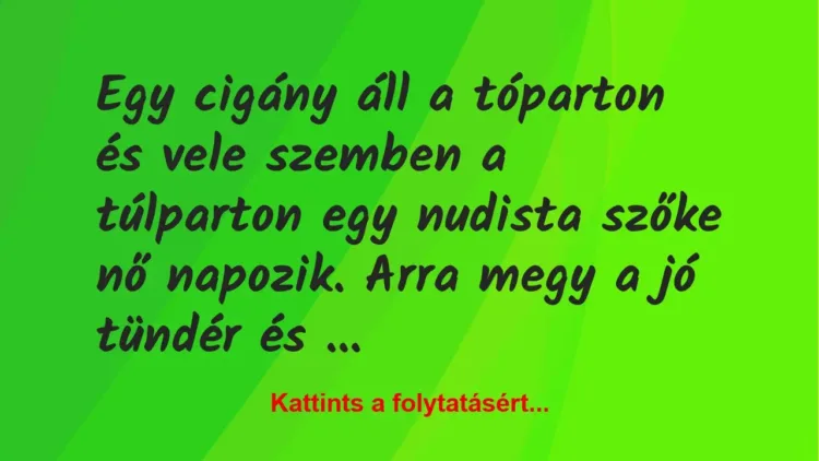 Vicc: Egy cigány áll a tóparton és vele szemben a túlparton egy nudista… Vicc: Egy cigány áll a tóparton és vele szemben a túlparton egy nudista…