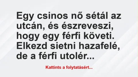 Vicc: Egy csinos nő sétál az utcán, és észreveszi, hogy egy férfi követi….