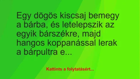 Vicc: Egy dögös kiscsaj bemegy a bárba, és letelepszik az egyik bárszékre,… Vicc: Egy dögös kiscsaj bemegy a bárba, és letelepszik az egyik bárszékre,…