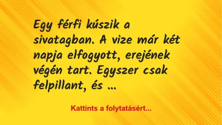 Vicc: Egy férfi kúszik a sivatagban. A vize már két napja elfogyott, erejének végén… Vicc: Egy férfi kúszik a sivatagban. A vize már két napja elfogyott, erejének végén…