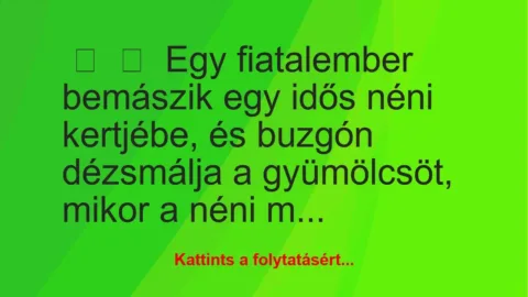 Vicc:
Egy fiatalember bemászik egy idős néni kertjébe, és buzgón … Vicc:
Egy fiatalember bemászik egy idős néni kertjébe, és buzgón …