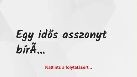 Vicc: Egy idős asszonyt bíróság elé állítanak bolti lopás miatt Vicc: Egy idős asszonyt bíróság elé állítanak bolti lopás miatt