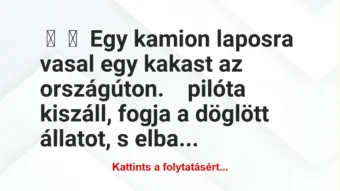 Vicc:
Egy kamion laposra vasal egy kakast az országúton.
… Vicc:
Egy kamion laposra vasal egy kakast az országúton.
…