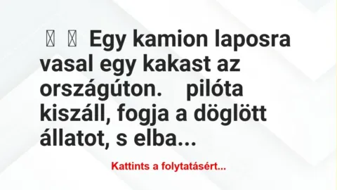 Vicc:
Egy kamion laposra vasal egy kakast az országúton.
… Vicc:
Egy kamion laposra vasal egy kakast az országúton.
…