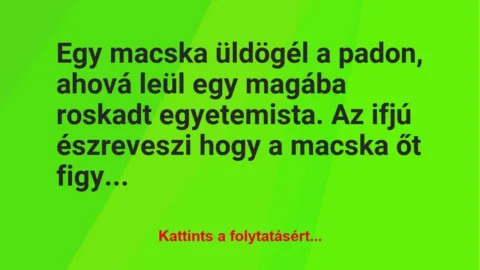Vicc: Egy macska üldögél a padon, ahová leül egy magába roskadt egyetemista….