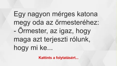 Vicc: Egy nagyon mérges katona megy oda az őrmesteréhez:

– Őrmester, az…