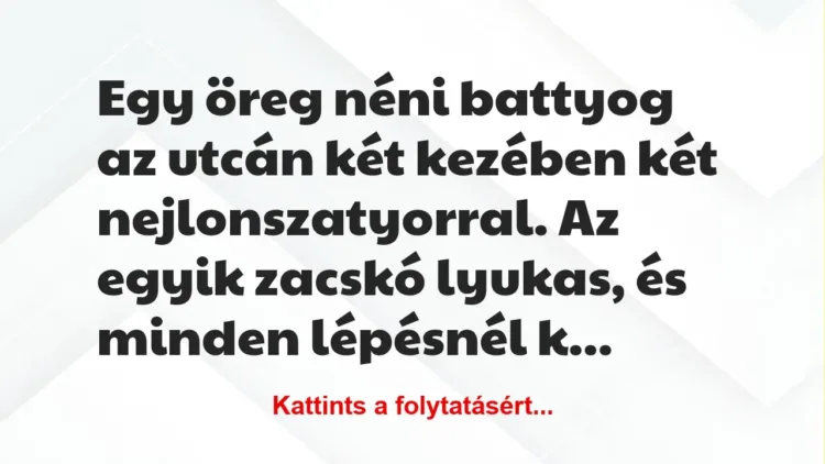 Vicc: Egy öreg néni battyog az utcán két kezében két nejlonszatyorral. Az egyik zacskó… Vicc: Egy öreg néni battyog az utcán két kezében két nejlonszatyorral. Az egyik zacskó…