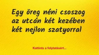 Vicc: Egy öreg néni csoszog az utcán két kezében két nejlon szatyorral Vicc: Egy öreg néni csoszog az utcán két kezében két nejlon szatyorral